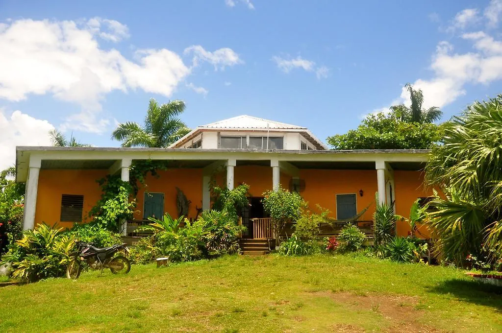 Germaican Hostel Port Antonio